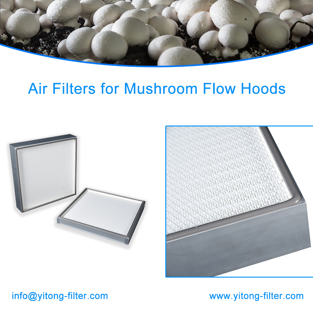 The Importance of Air Filters for Mushroom Flow Hoods