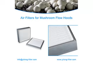 The Importance of Air Filters for Mushroom Flow Hoods
